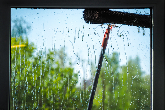 Window Cleaning Appointment